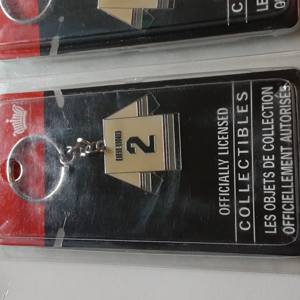 Vancouver Canucks NHL Officially Licensed Collectible Jersey Keychains 2006